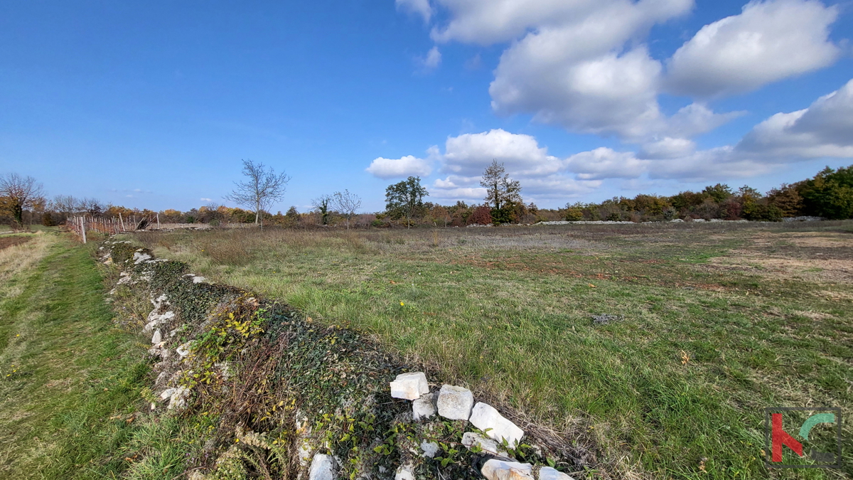 Istra - Svetvinčenat, zemljišče 5700m2 na mirni lokaciji
